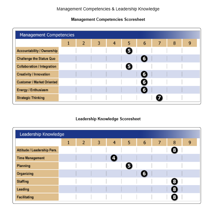 lm-competency