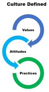 Culture defined